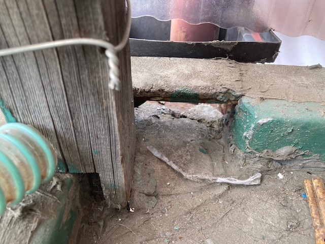 ベランダの様子